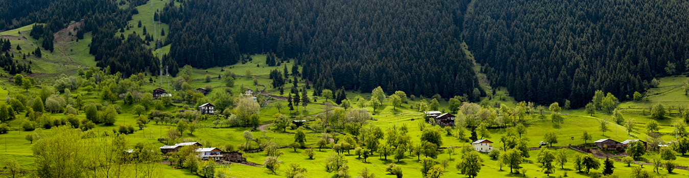 Kashmir Packages Banner
